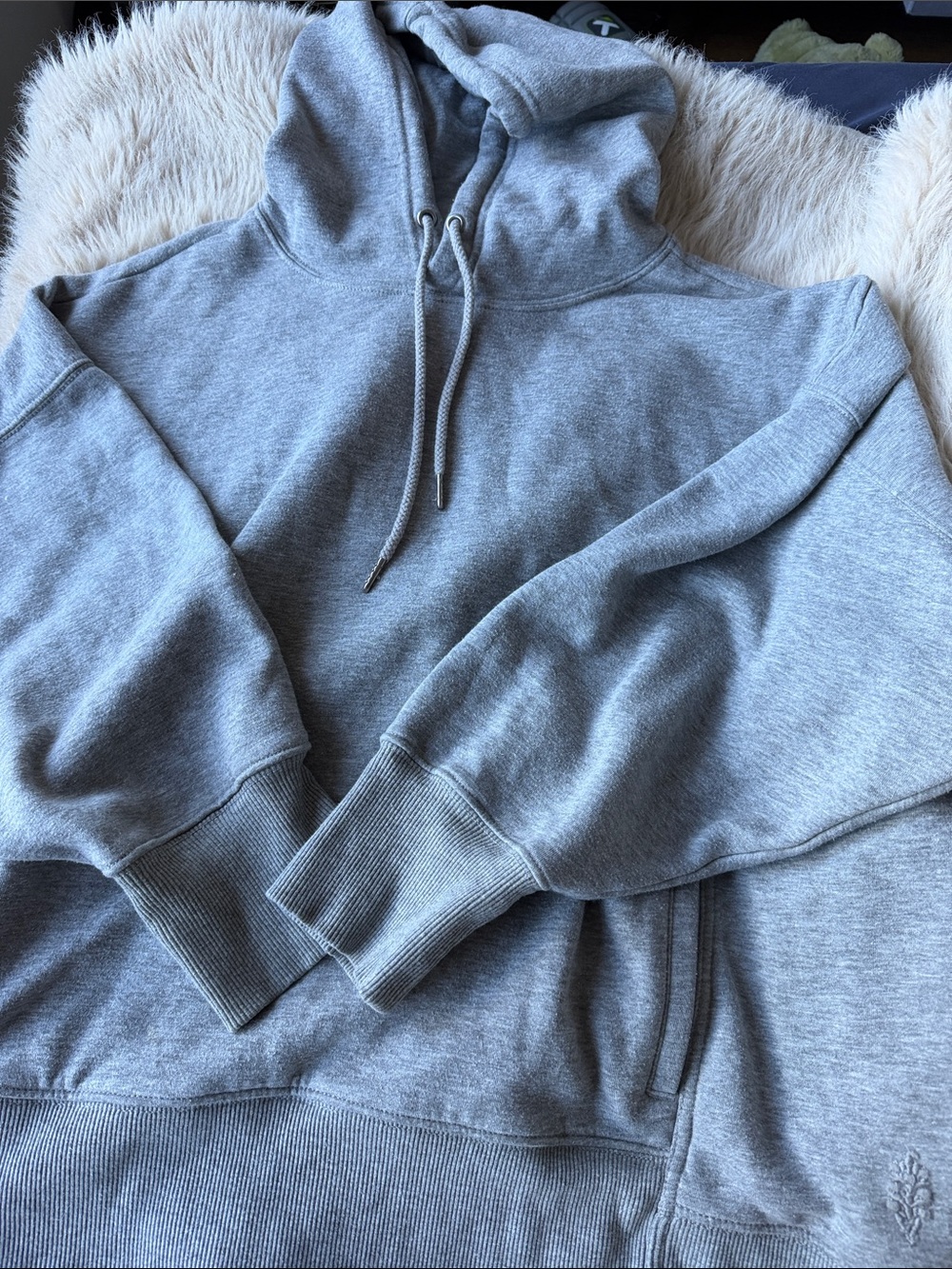 Free People Hoodie
